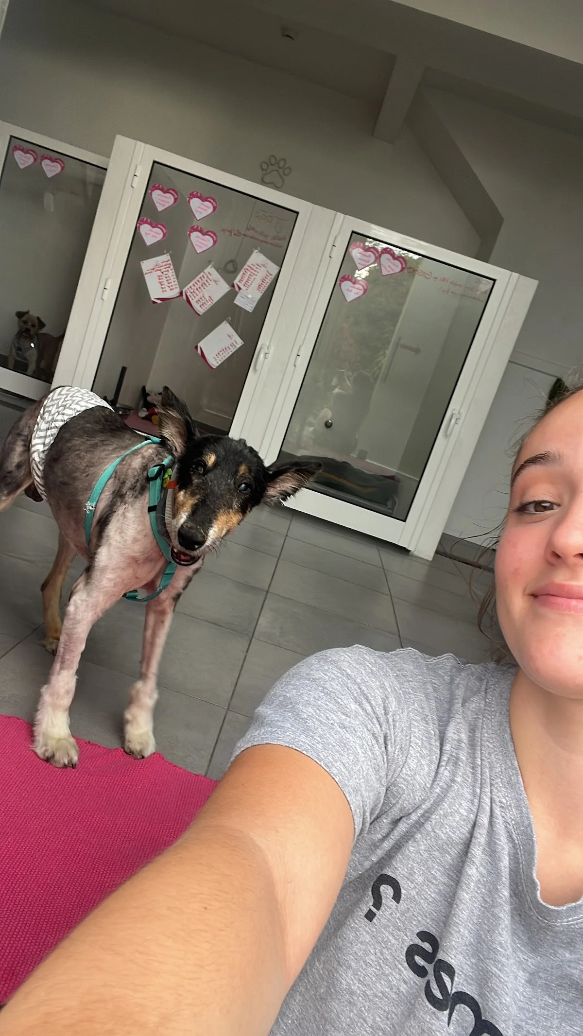 Patavinas_petsitting — 2