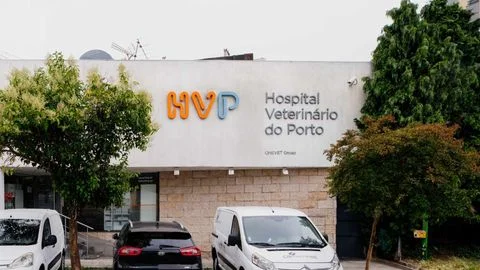 Onevet Hospital Veterinário Porto