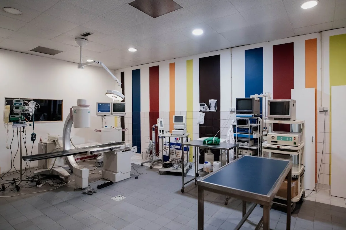 Onevet Hospital Veterinário Porto — 2