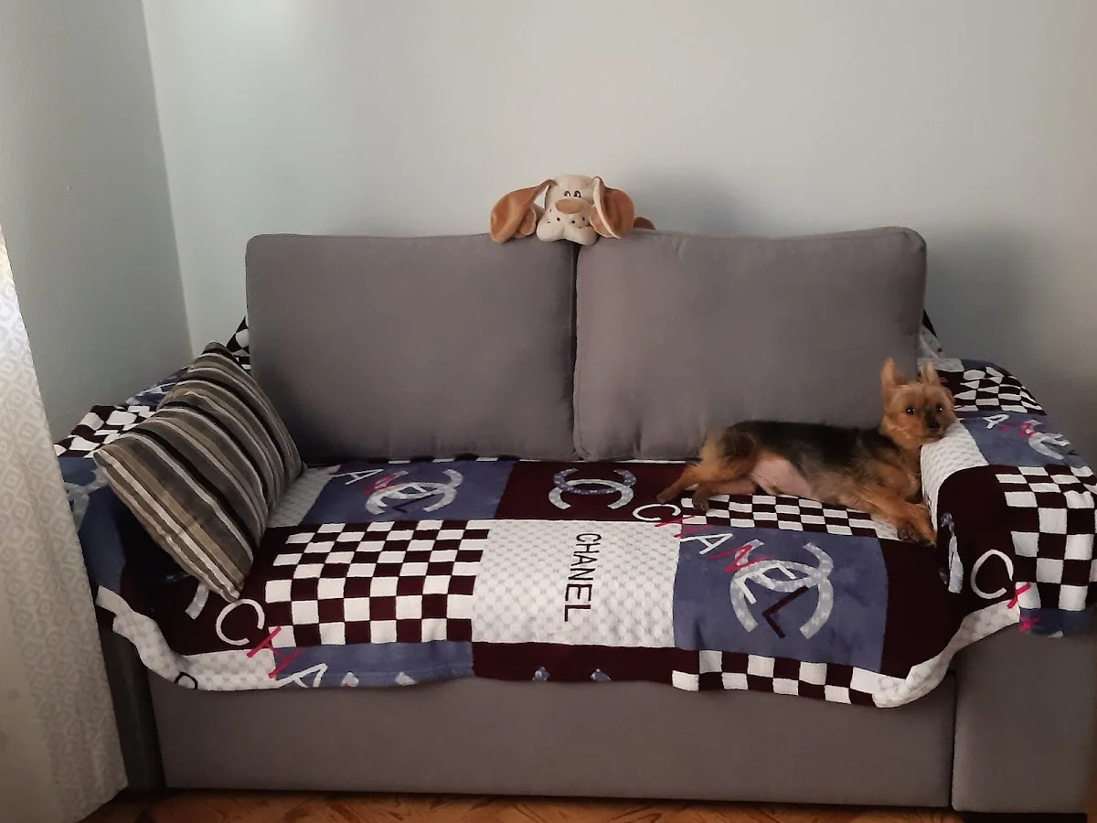 Cantinho 4 Patas Loures