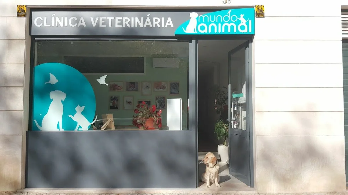 Clinica Veterinária Mundo Animal