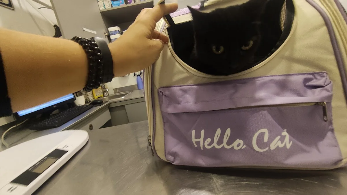 Covelovet, Clínica Veterinária