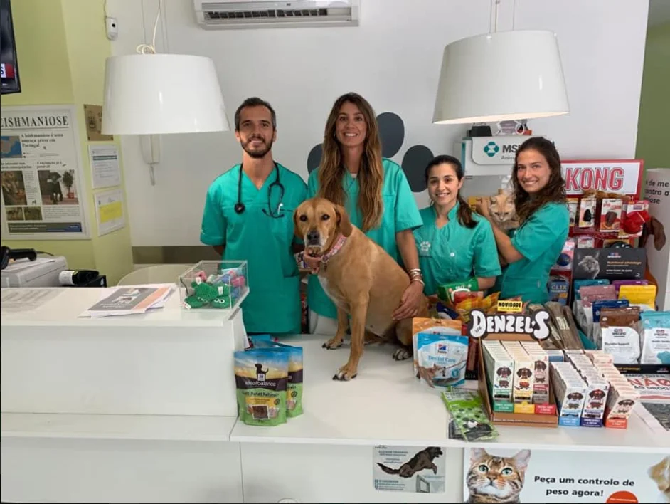 Clínica Veterinária do Campo Alegre — 2