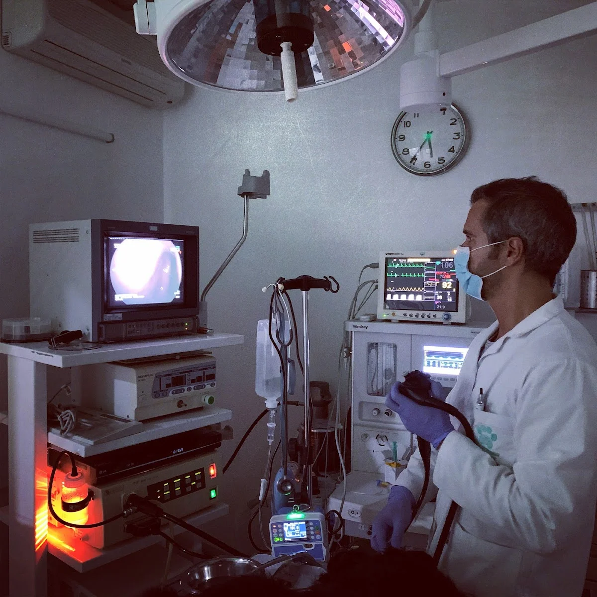 Clínica Veterinária do Campo Alegre — 3