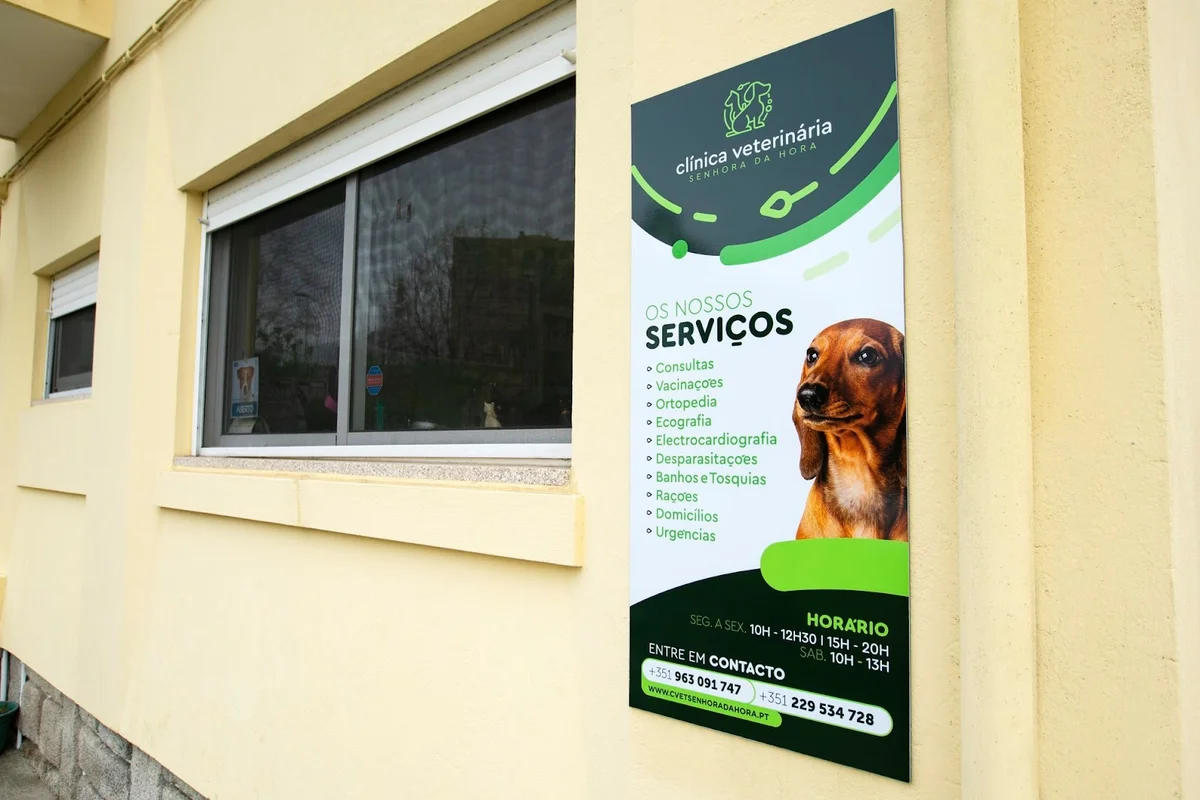 Clínica Veterinária da Senhora da Hora — 3