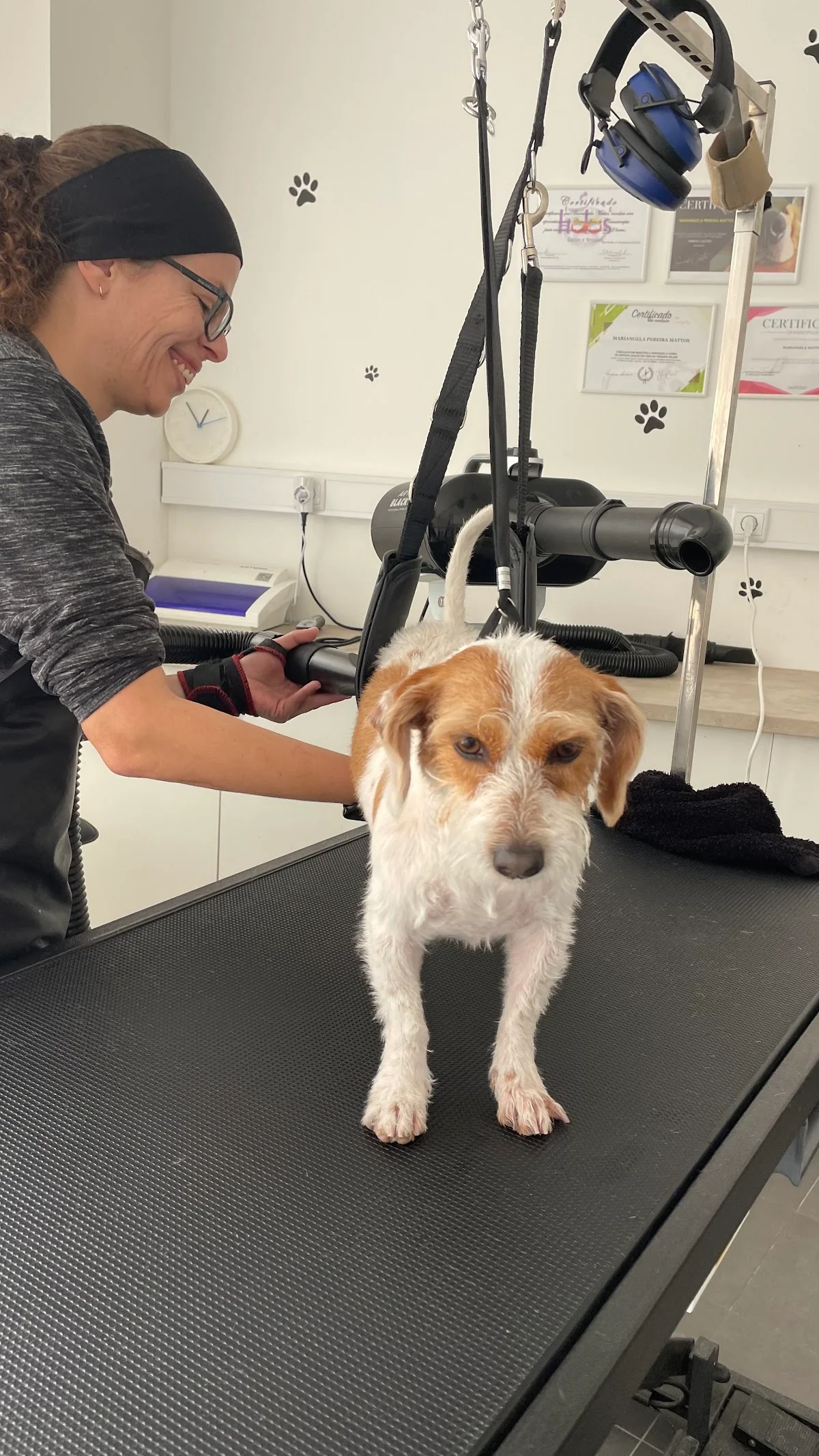 Unidogs Petgrooming — 3