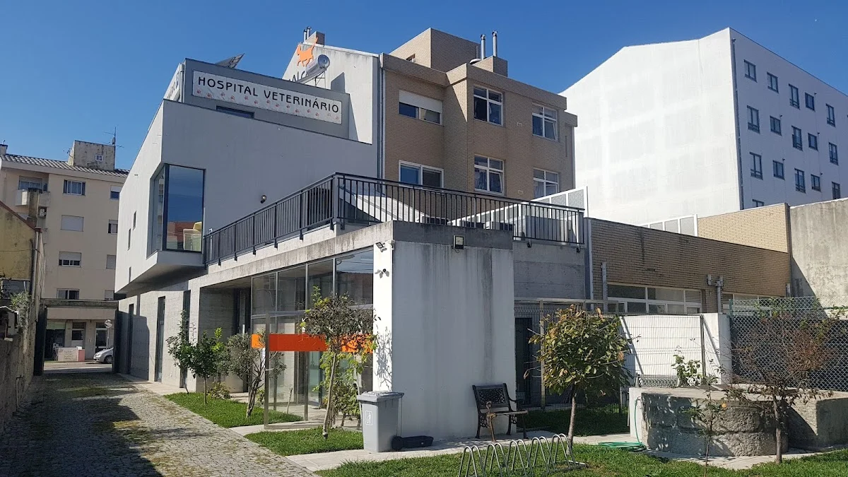 Hospital Veterinário ANIMALcare Matosinhos — 3