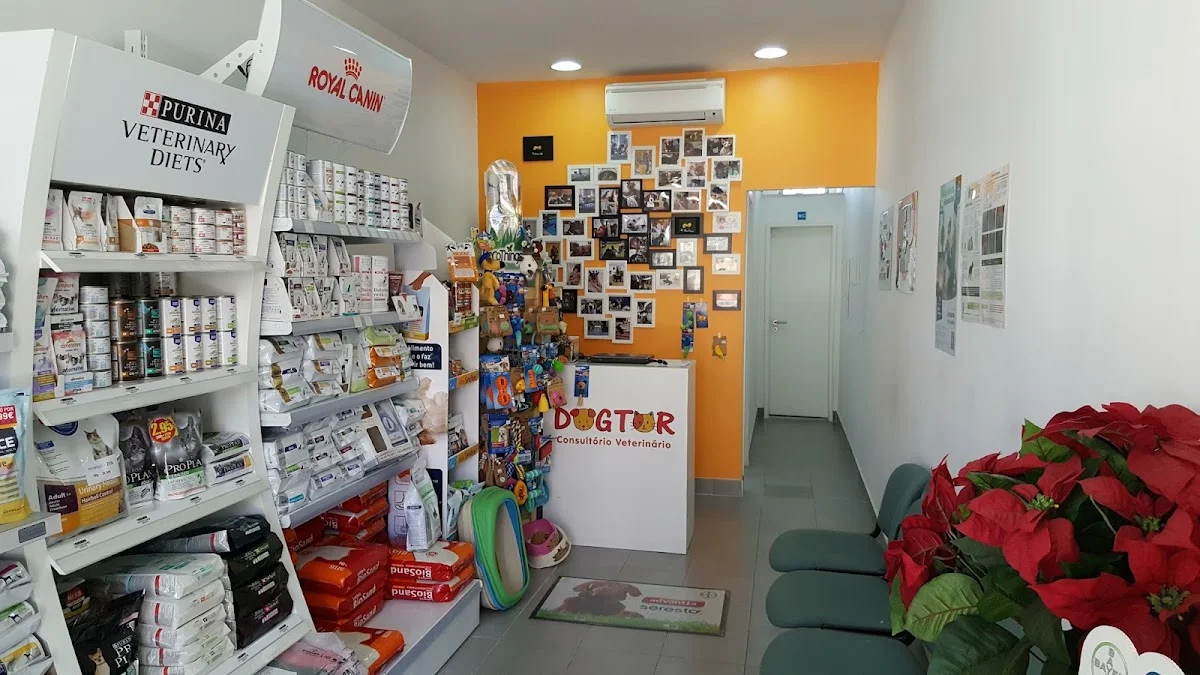 Dogtor, Consultório Veterinário