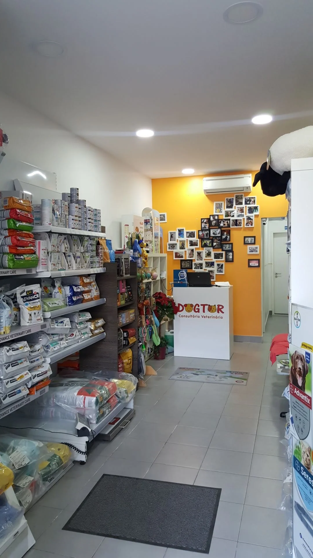 Dogtor, Consultório Veterinário — 2