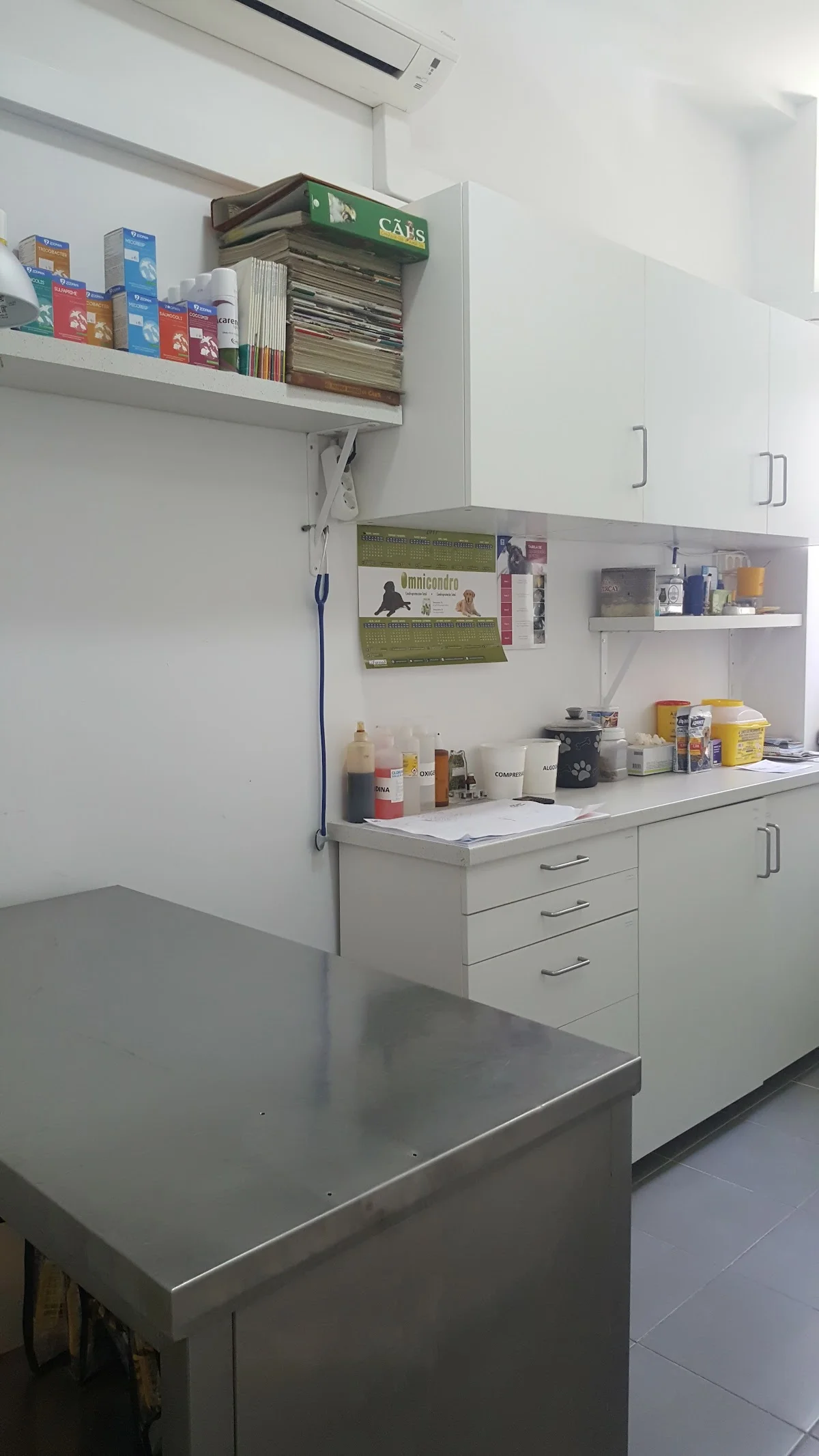 Dogtor, Consultório Veterinário — 3