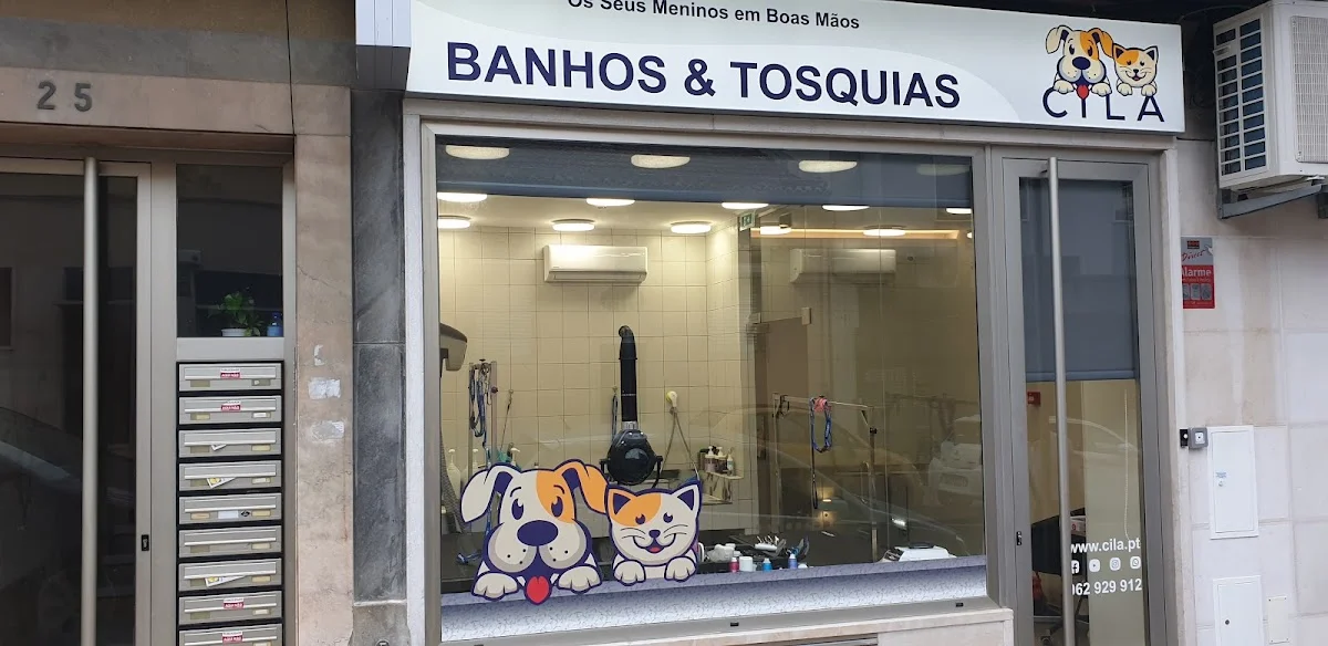 Cila Banhos e Tosquias — 3