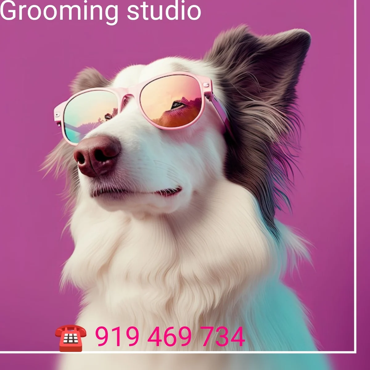 Grooming Studio