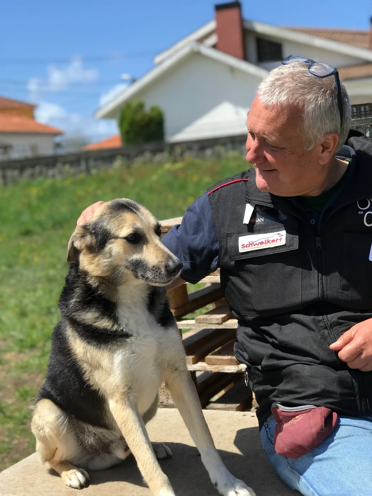 Osso de Cão — 1