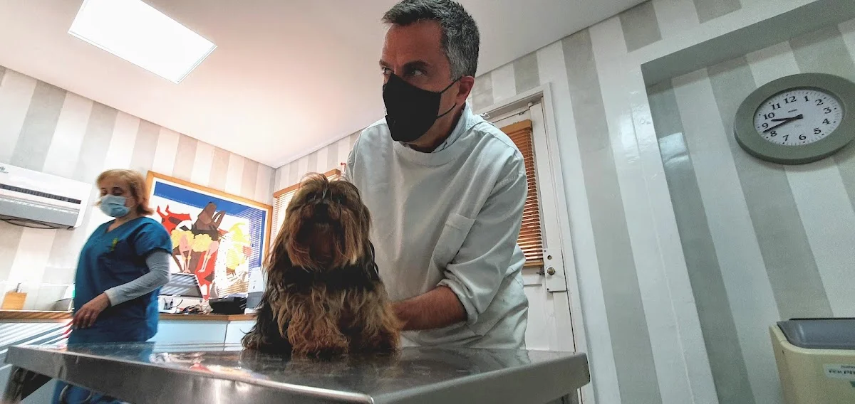 Hospital Vet. Dr. Francisco Corrêa Cardoso — 3