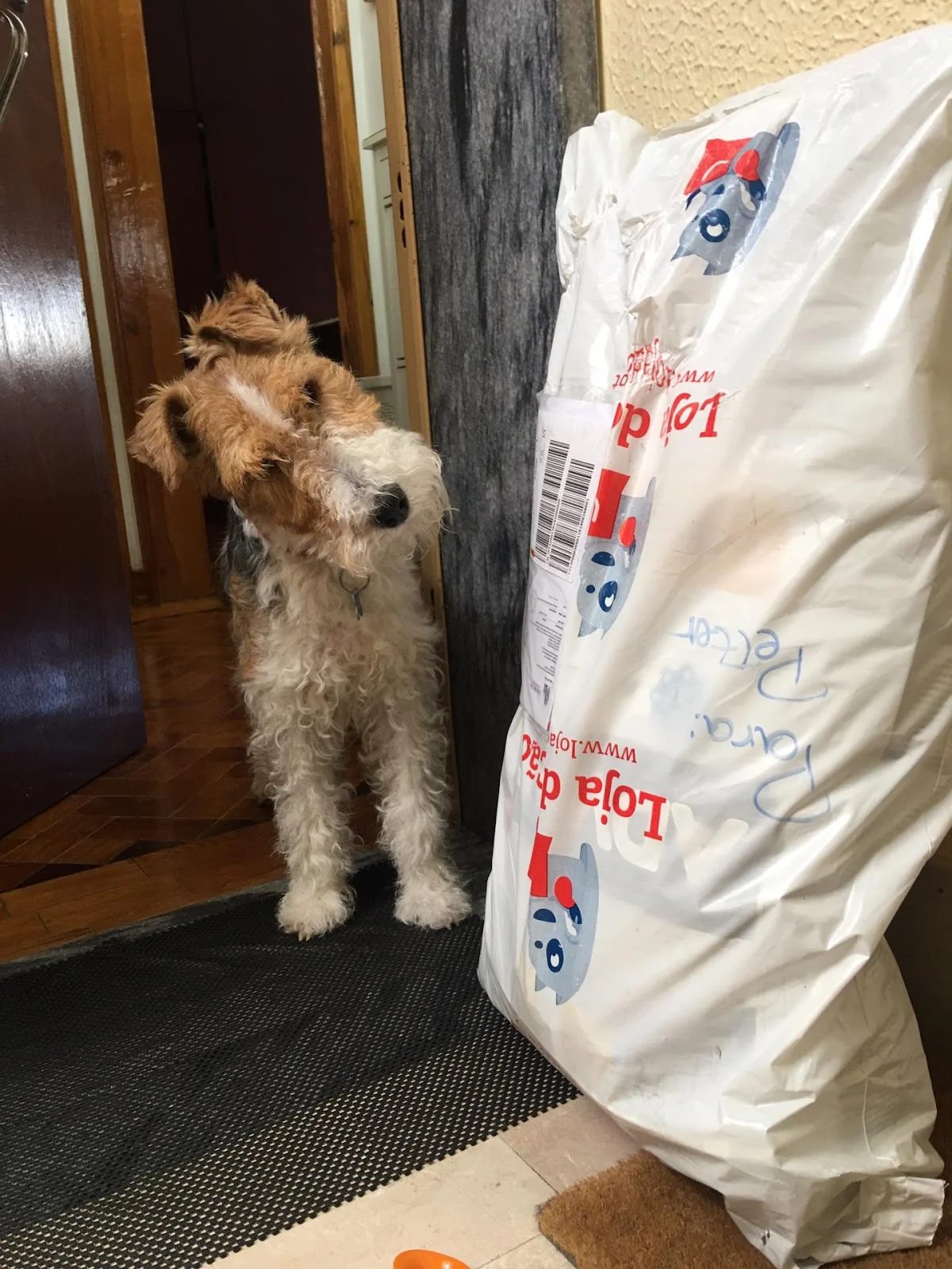 Loja do Cão Sacavém — 3
