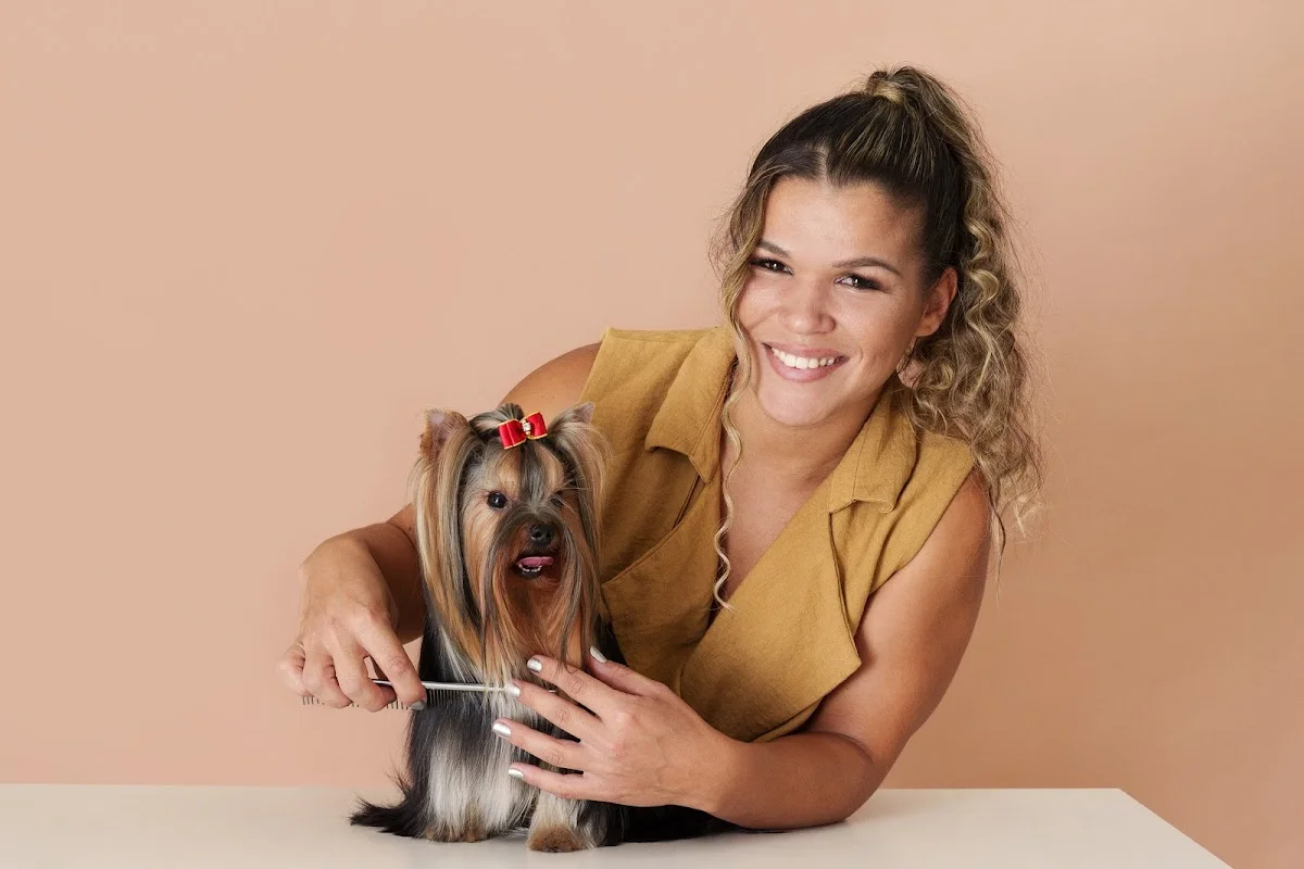 Cãoforto