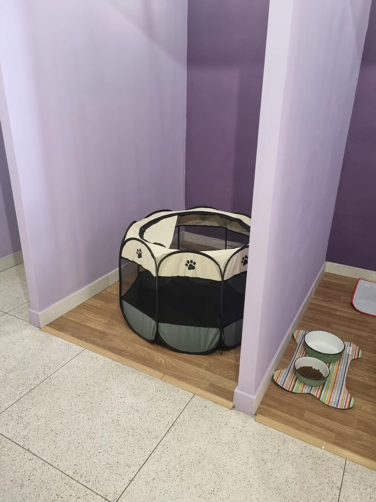 A Casa da Zizi Pet Care — 3