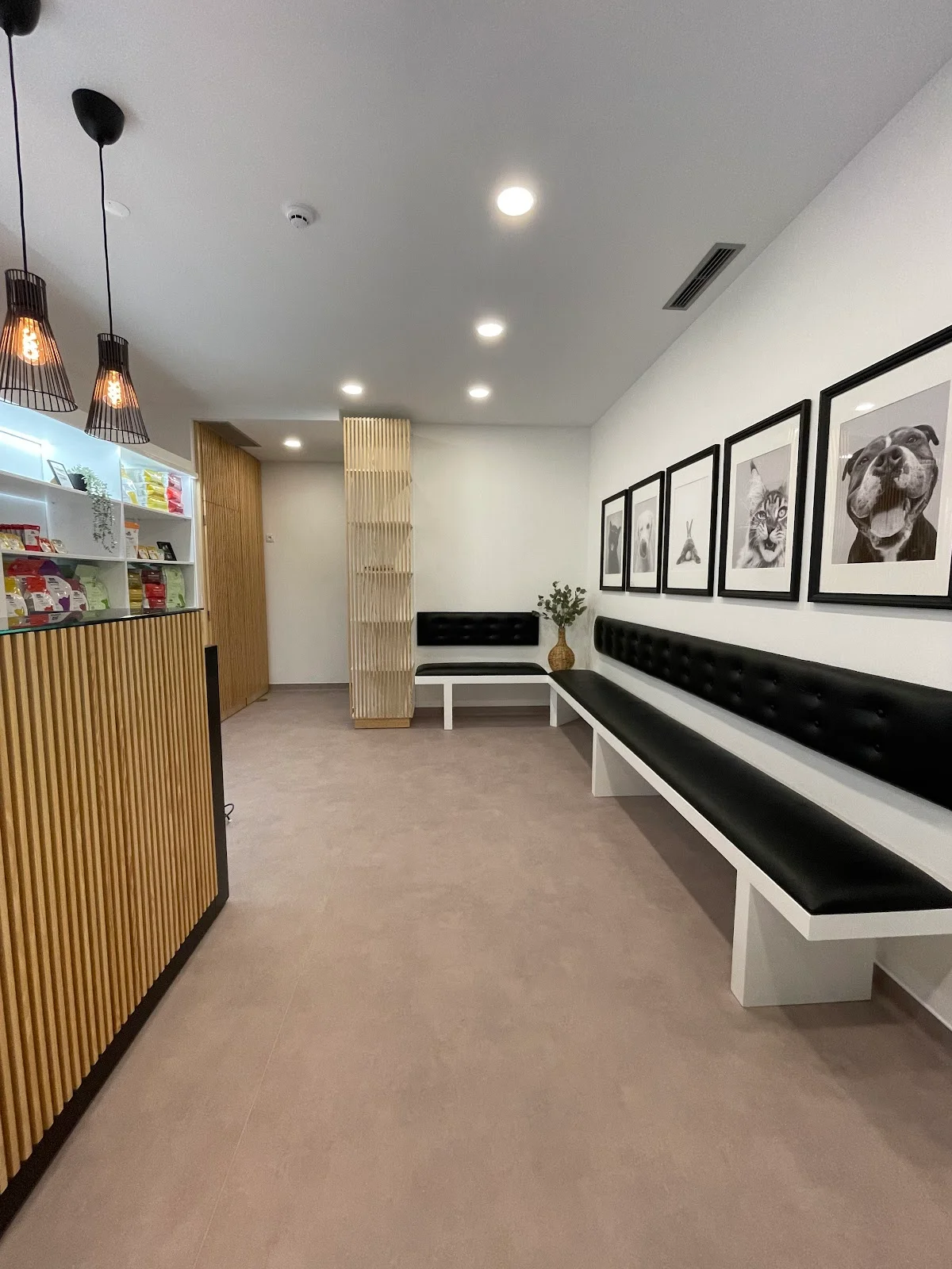 City Pets - consultório veterinário — 2