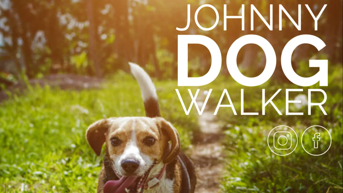 JohnnyDogWalker