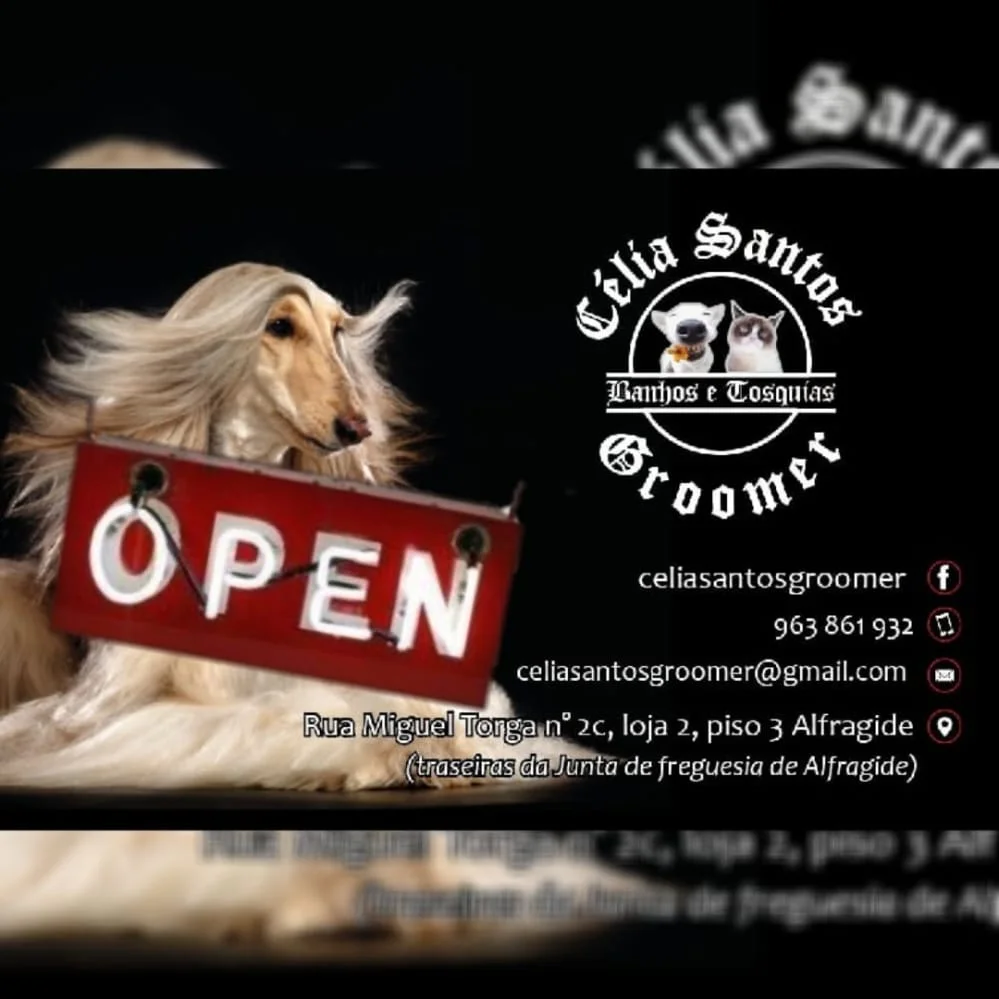 Célia Santos Groomer