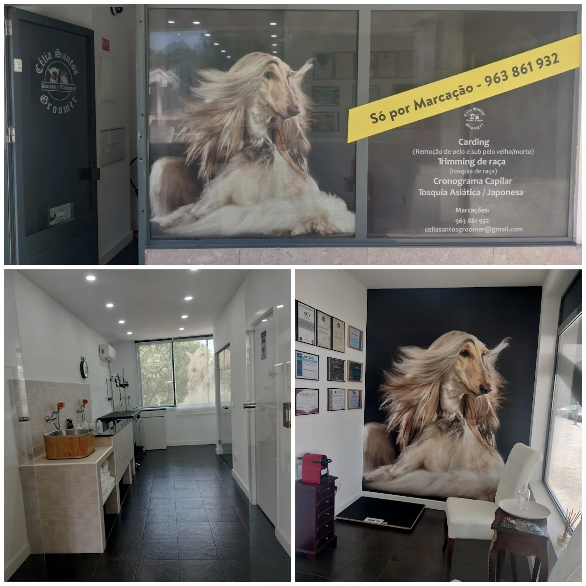Célia Santos Groomer — 2