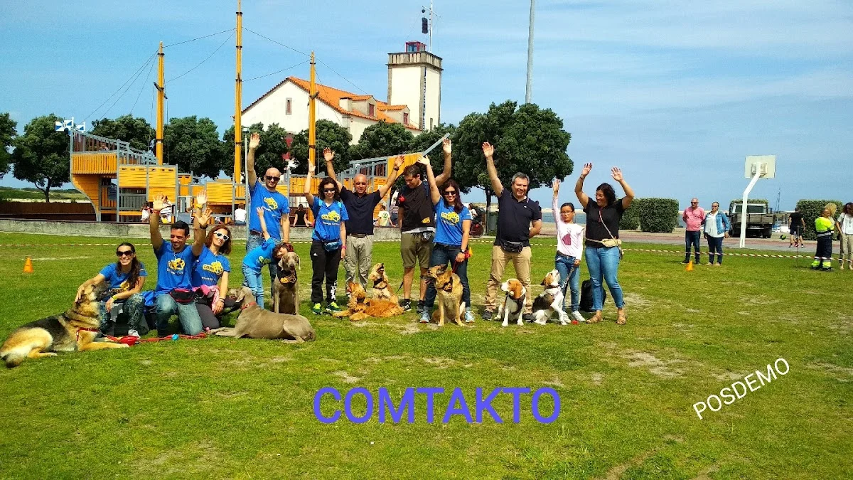COMtakto - Formação em Educação Canina