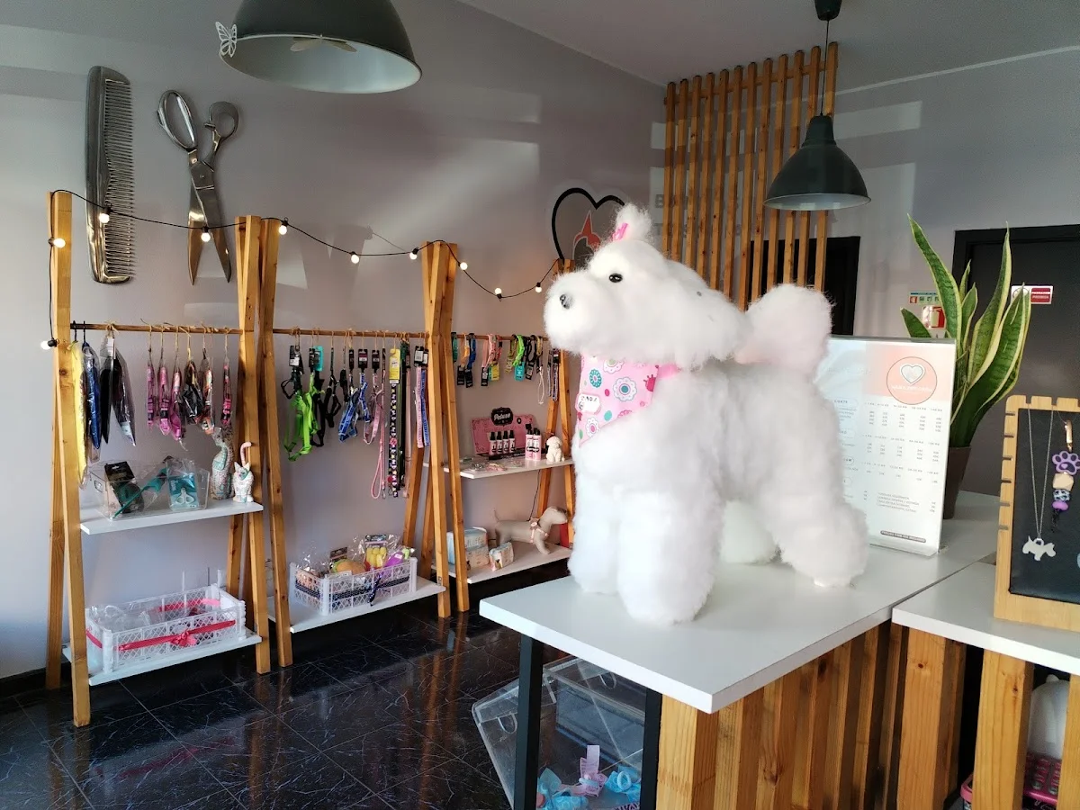 Xana Pet Care — 2