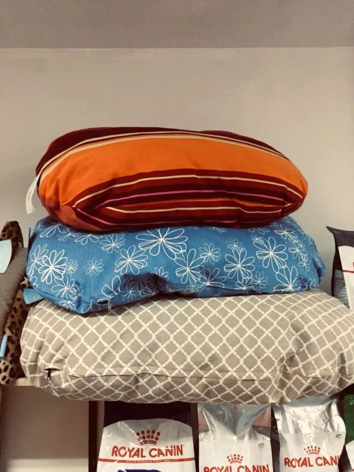 Cães Y Coisas — 3