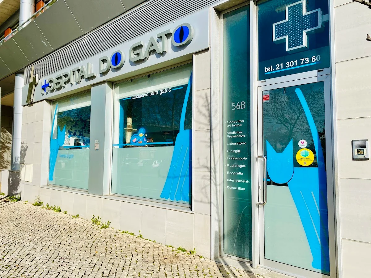 Hospital do Gato — 2