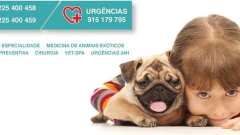 Consultório Veterinário Vets&Pets — 2