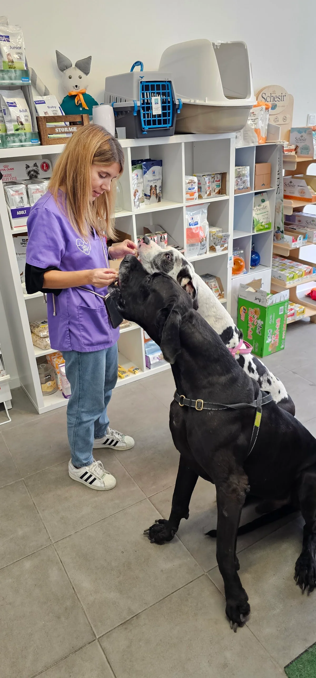 Oh my Vet — 3