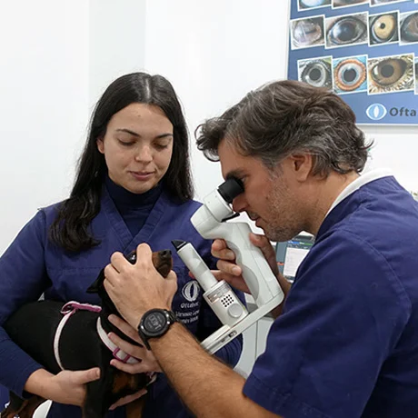 OFTALVET- Centro de Oftalmologia Veterinária