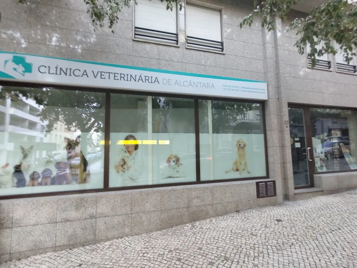 Clínica Veterinária de Alcântara — 3