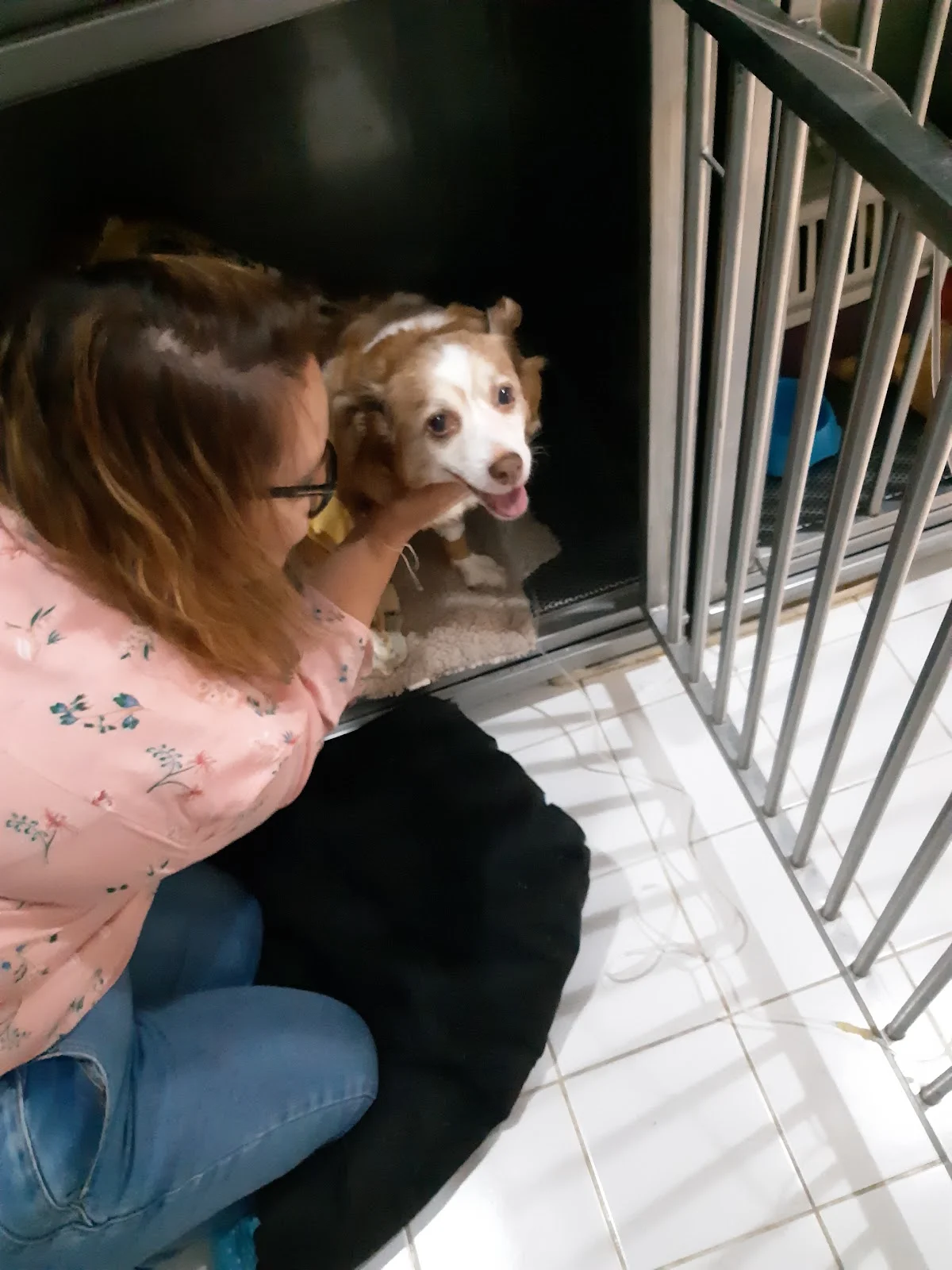 Sociedade Protectora dos Animais do Porto