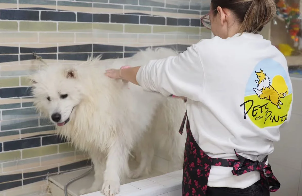 Pet's com Pinta — 3