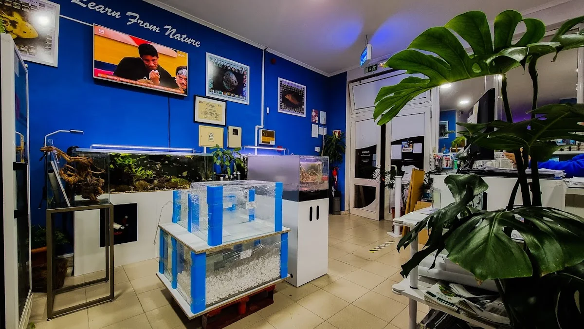 A Casa dos Discus — 3