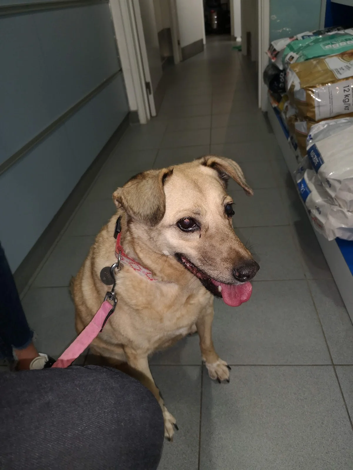 Clínica Veterinária de Santa Maria Olivais — 3