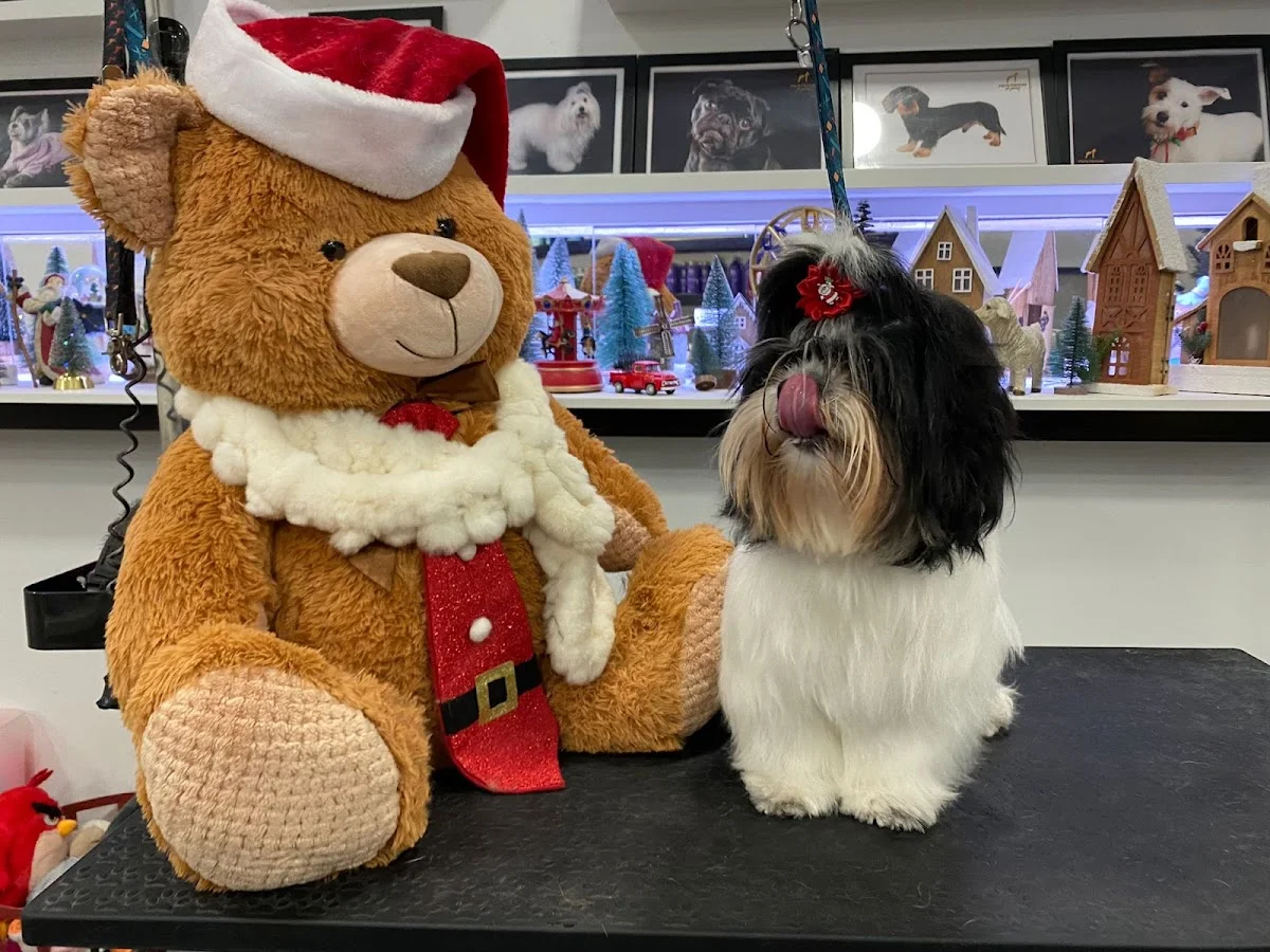 Ooh La La Pet Grooming Spa — 2