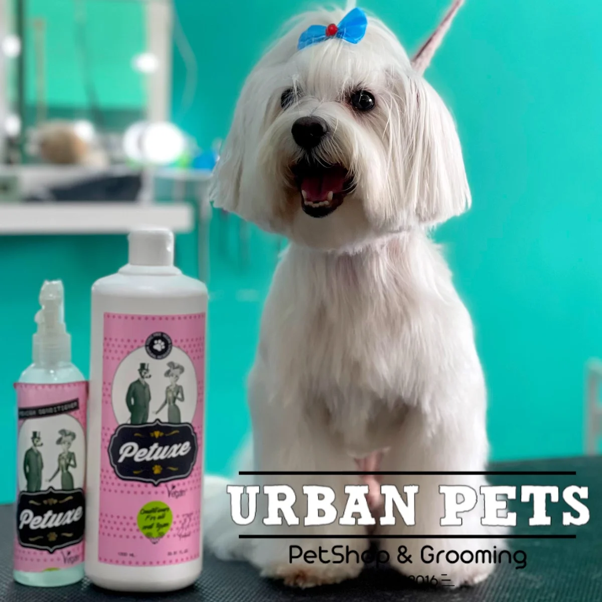 Urban Pets Oeiras — 2