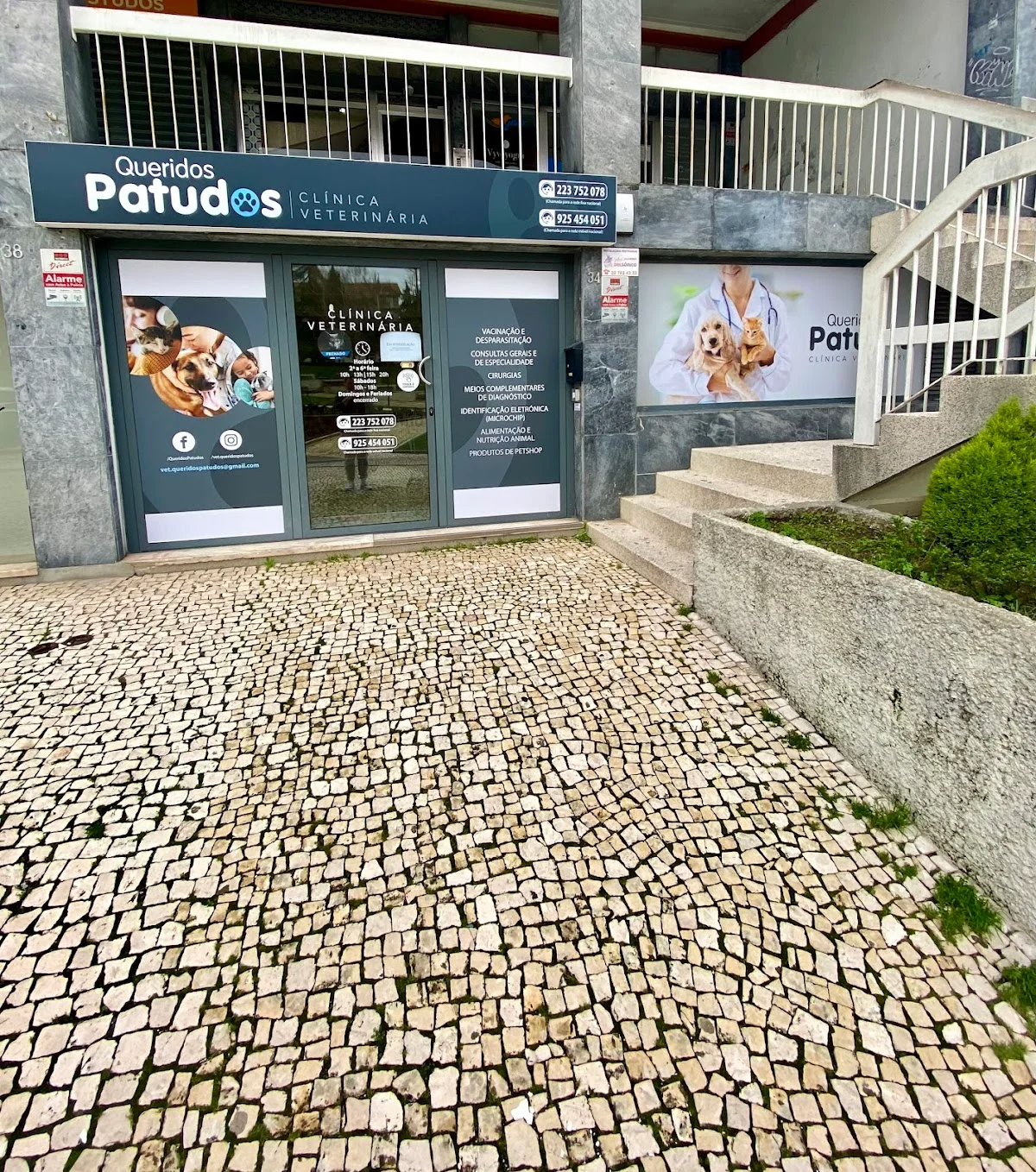 Queridos Patudos, Clínica Veterinária — 2