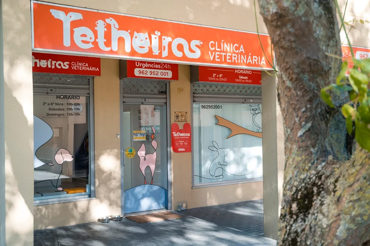 Clínica Veterinária de Telheiras