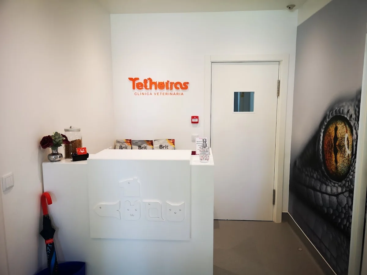 Clínica Veterinária de Telheiras — 3