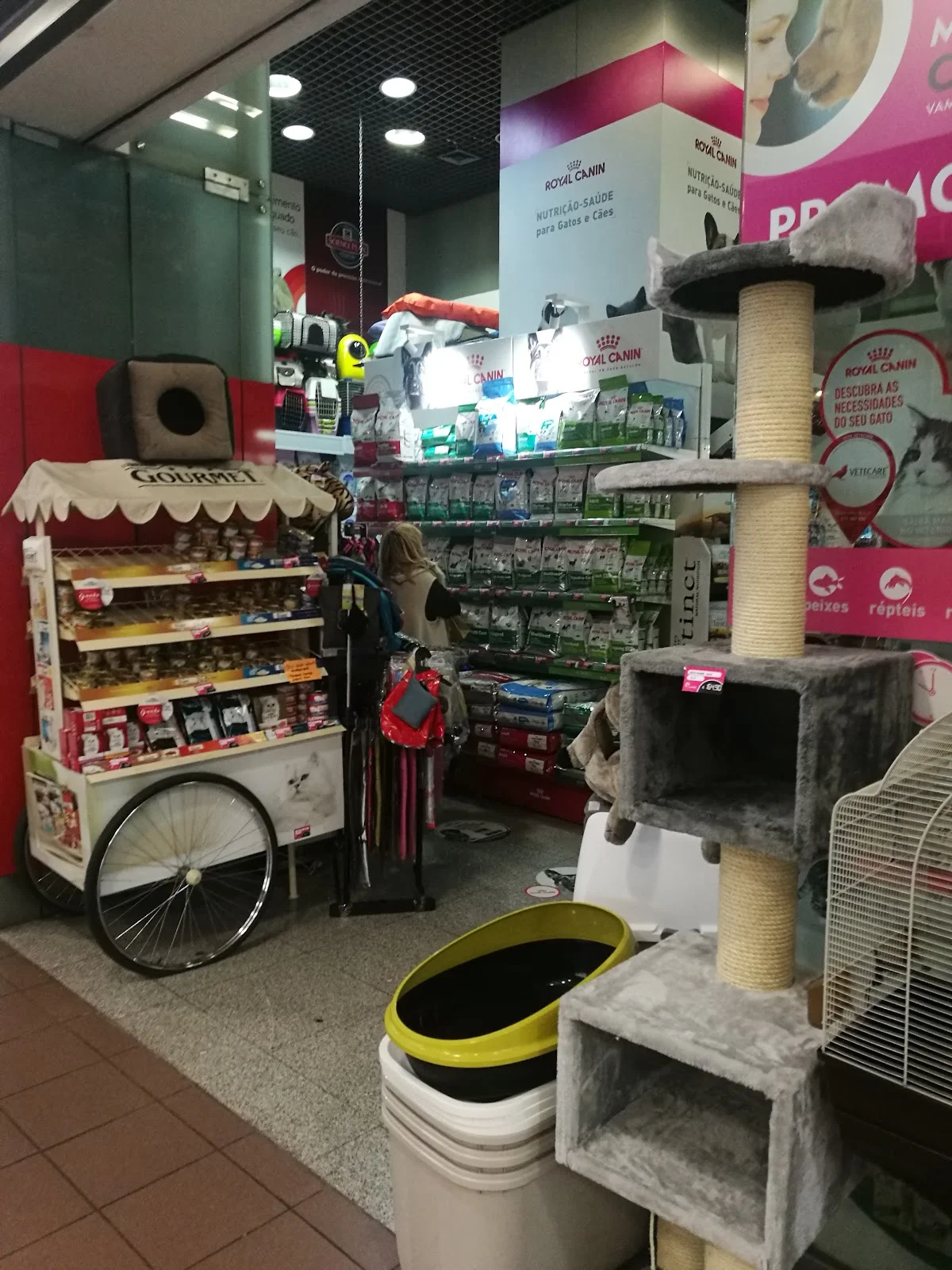 PetOutlet Dragão — 2