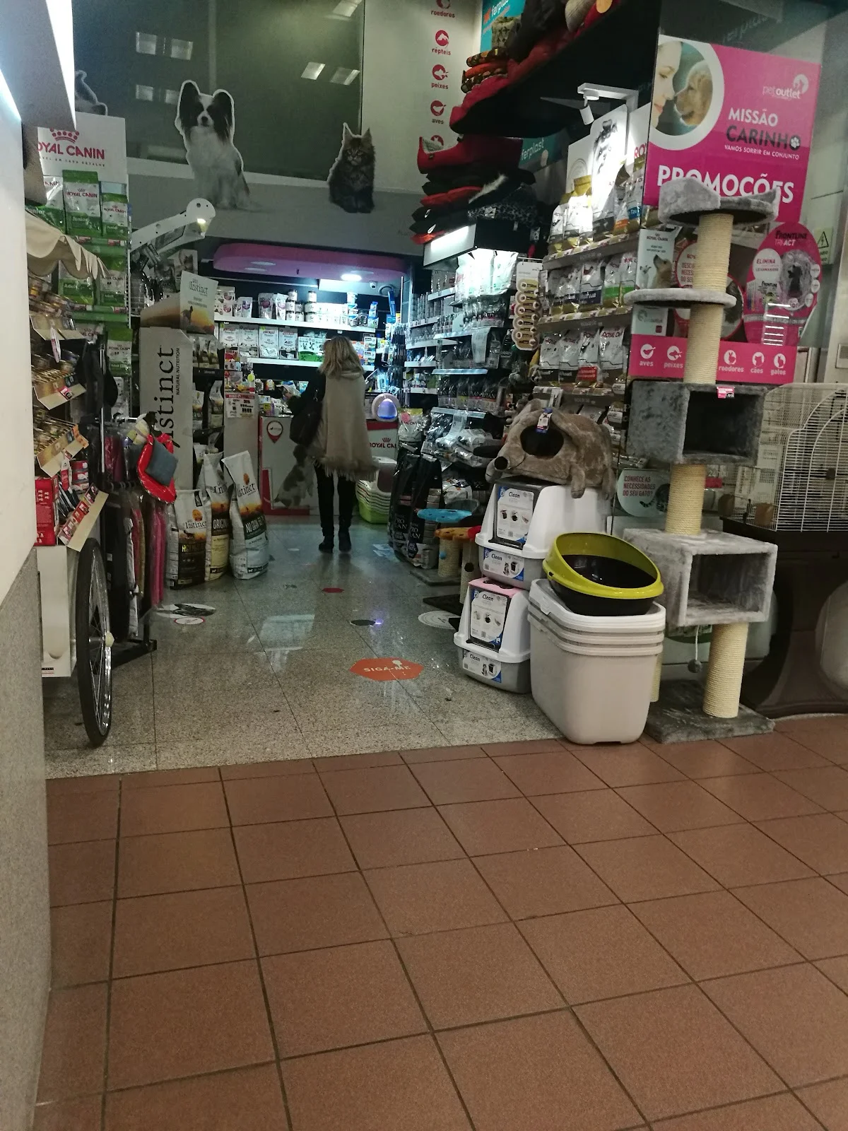 PetOutlet Dragão — 3