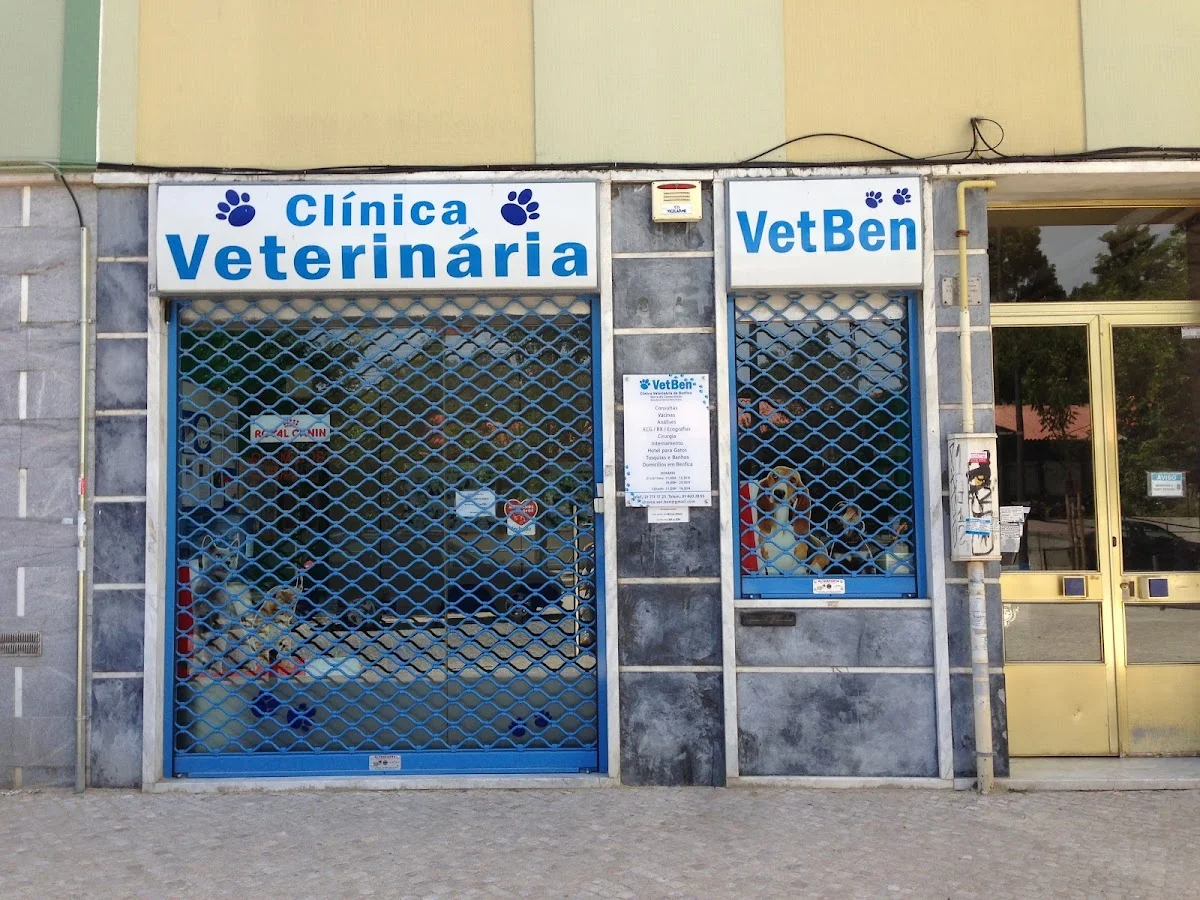 Vet Ben - Clínica Veterinária — 3