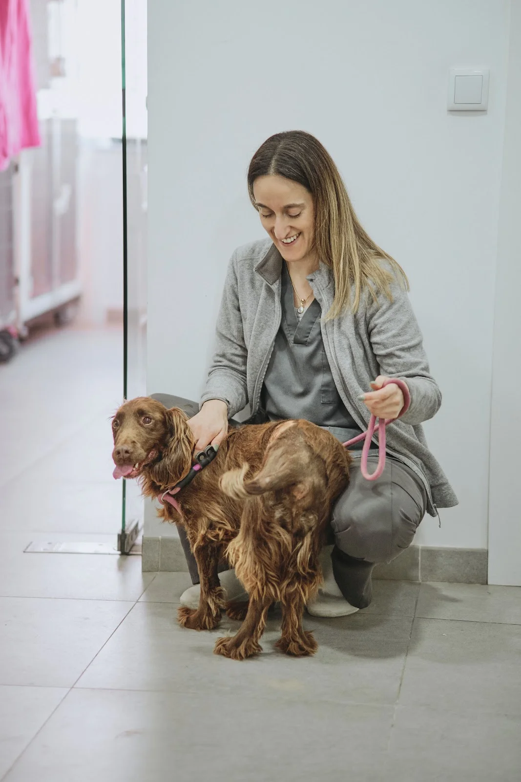 Curae Vet - Centro Veterinário de Lisboa — 3