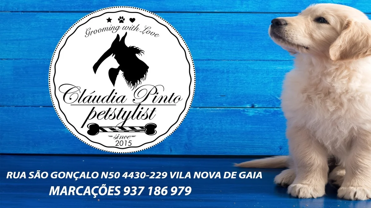 Banhos & Tosquias | Cláudia Pinto Grooming