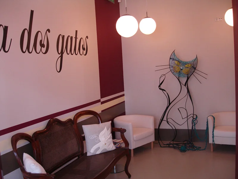 Clínica dos Gatos - Clínica Veterinária — 2
