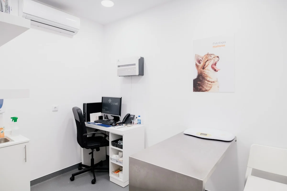 Onevet Clínica Veterinária Ermesinde