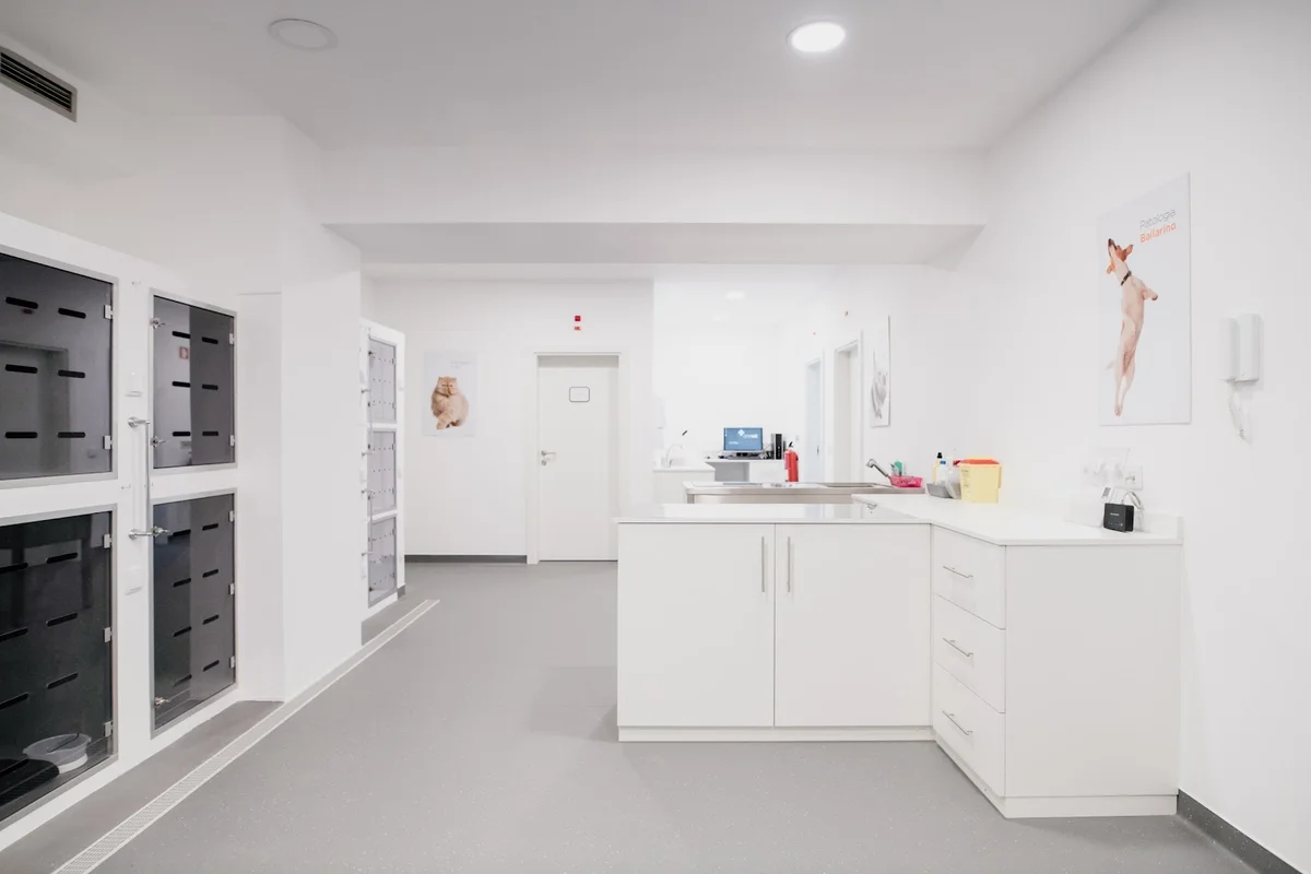 Onevet Clínica Veterinária Ermesinde — 2